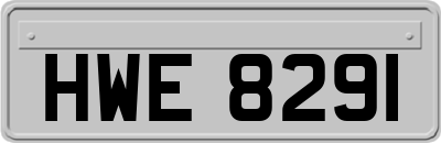 HWE8291