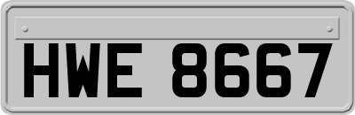 HWE8667