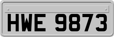 HWE9873