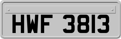 HWF3813