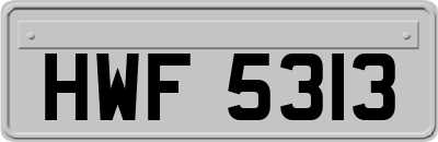 HWF5313