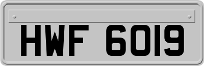 HWF6019