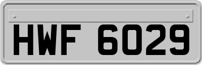 HWF6029