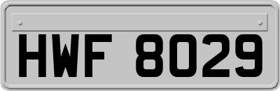 HWF8029