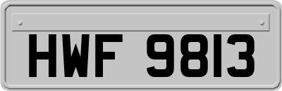 HWF9813
