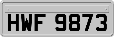 HWF9873