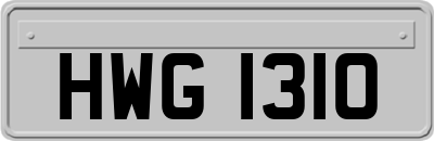 HWG1310