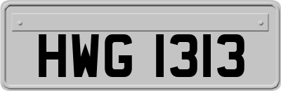 HWG1313