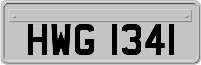 HWG1341