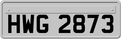 HWG2873