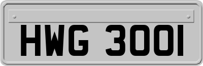 HWG3001