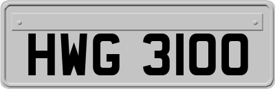 HWG3100