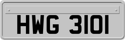 HWG3101