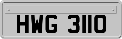 HWG3110