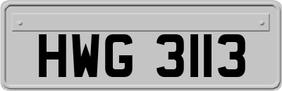 HWG3113