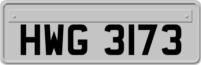 HWG3173