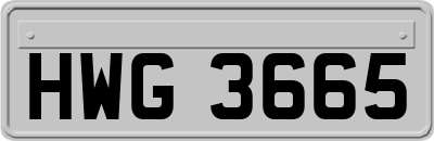 HWG3665