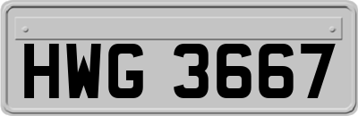 HWG3667