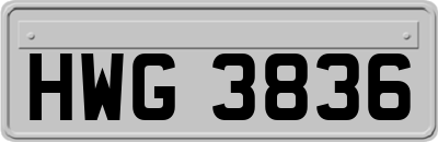 HWG3836