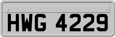 HWG4229