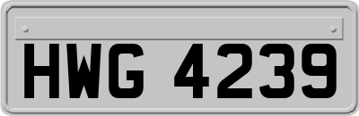 HWG4239
