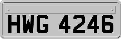 HWG4246