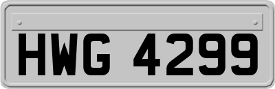 HWG4299
