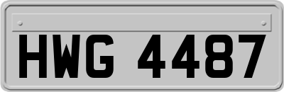 HWG4487