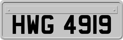 HWG4919