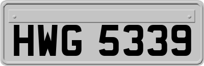 HWG5339