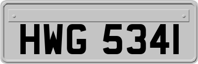 HWG5341