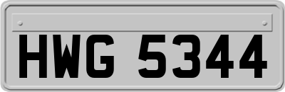 HWG5344