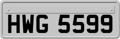 HWG5599