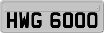 HWG6000