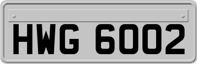 HWG6002