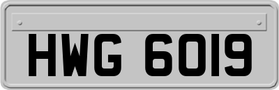 HWG6019