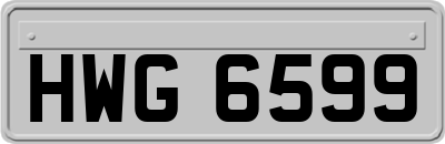 HWG6599