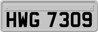 HWG7309