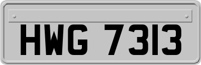 HWG7313