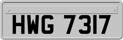 HWG7317