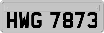 HWG7873