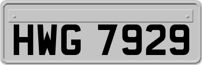 HWG7929