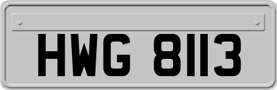 HWG8113