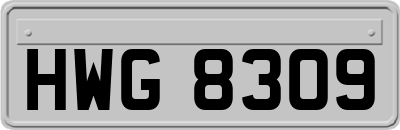 HWG8309