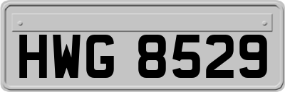 HWG8529