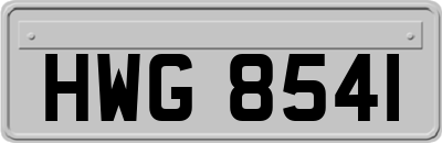 HWG8541