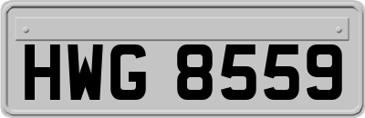 HWG8559