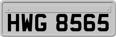 HWG8565