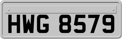 HWG8579