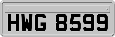 HWG8599